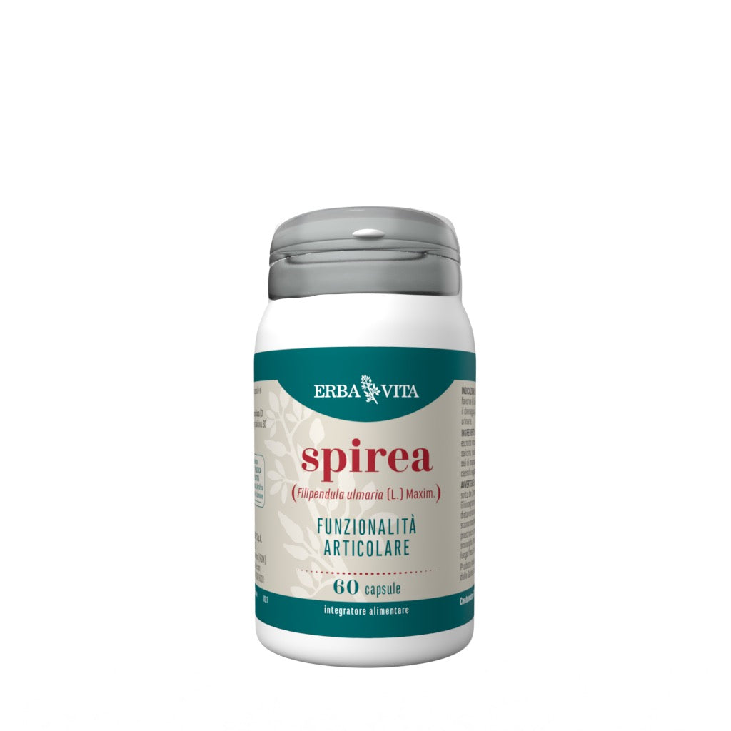 Spirea 60 capsule